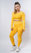 Sass Long Sleeve Crop Top - Sunflower
