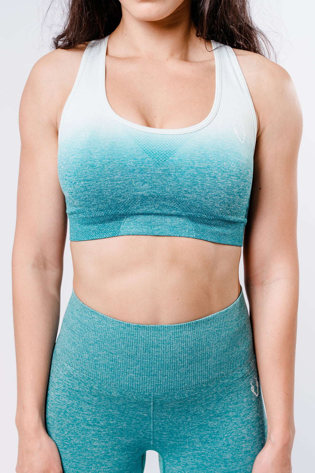 Ombre Sports Bra - Blue/White