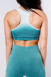 Ombre Sports Bra - Blue/White