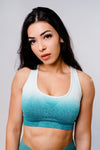 Ombre Sports Bra - Blue/White